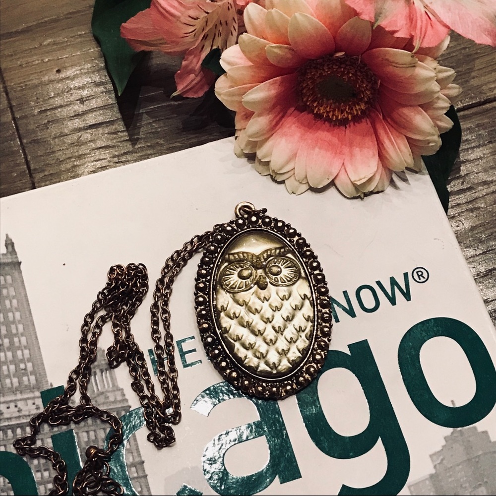 Owl Long Necklace